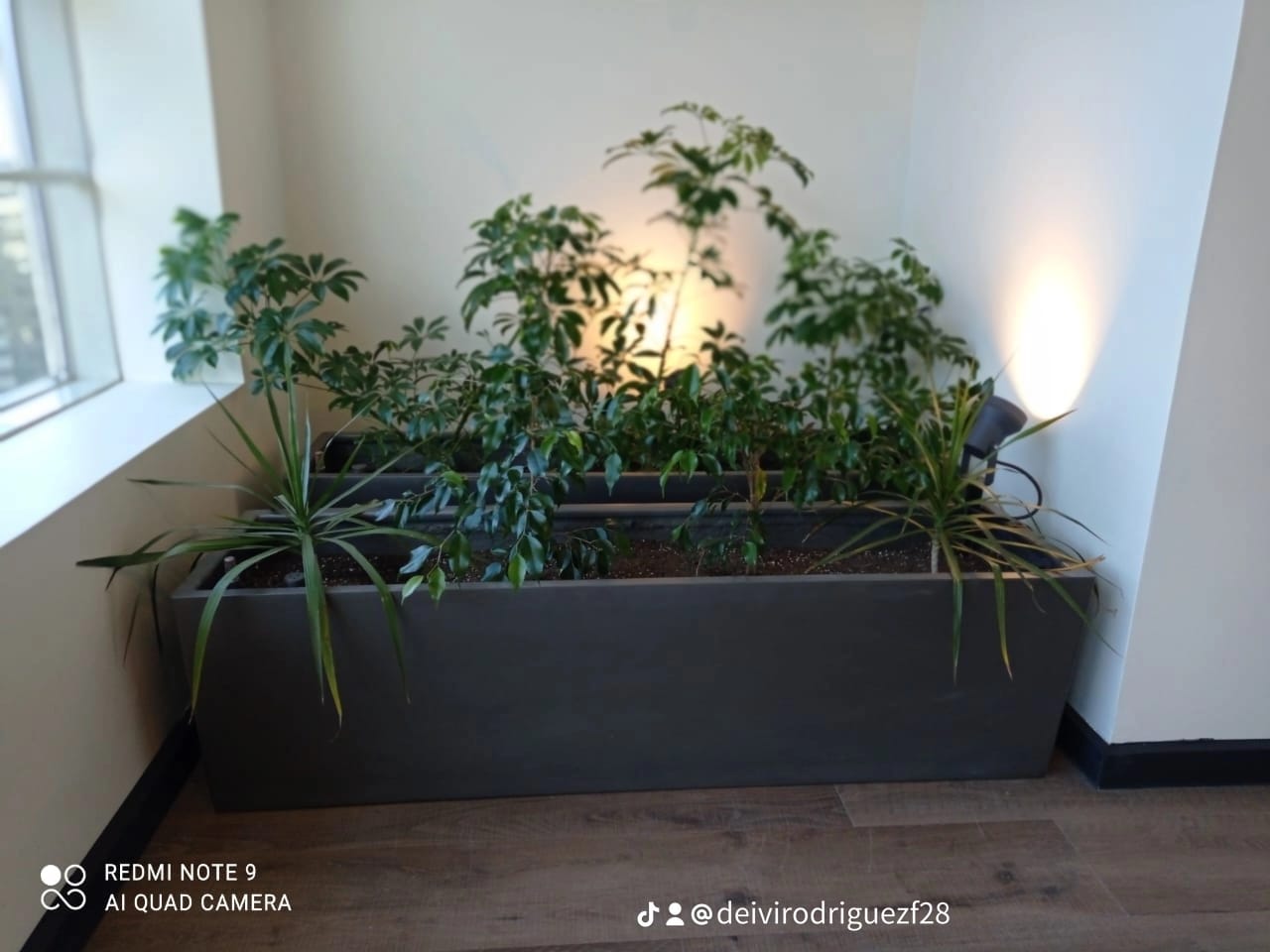 Mantenimiento eléctrico 10